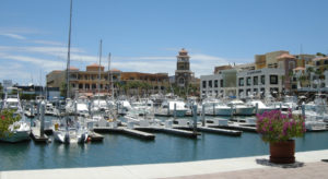 Marina Cabo San Lucas