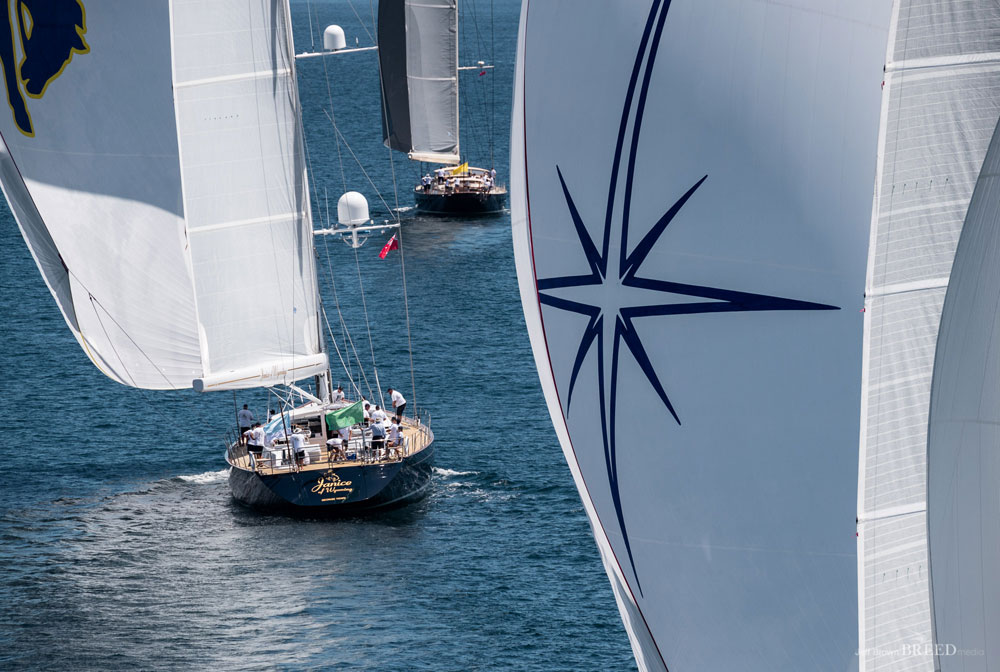 NZ Millennium Cup superyacht Ammonite winner